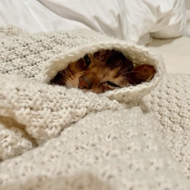 しろずきんちゃん(*´ω`*)