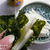 食べたい物・・・・・＜Ｄａｎさんバージョン