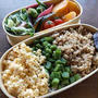 三色そぼろ弁当