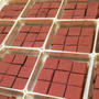 Valentine's-Day☆