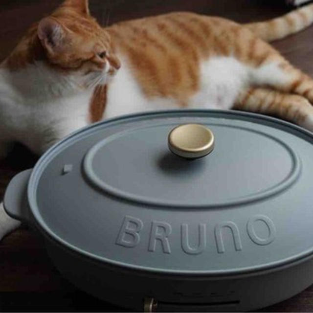 BRUNOのオーバルホットプレートってどうなの？使い勝手、他との違いは？などご質問の返答（長いです）