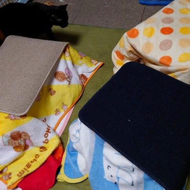 あとの2匹は？ / 火事場泥棒