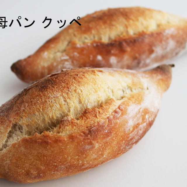 自家製酵母基本パンレッスン　4月からの空席状況