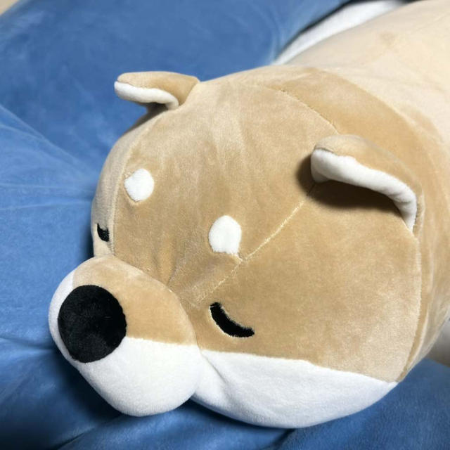 蓄熱式湯たんぽ　むぎゅ