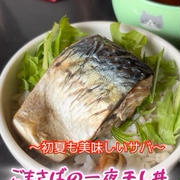 ゴマサバ一夜干し丼