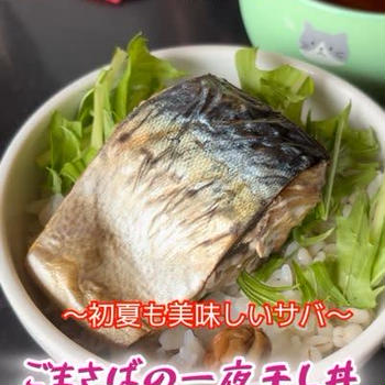 ゴマサバ一夜干し丼