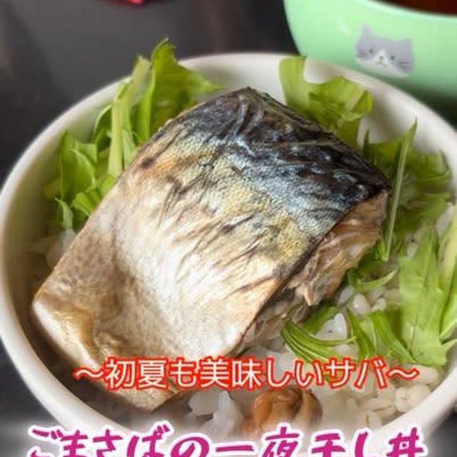 ゴマサバ一夜干し丼
