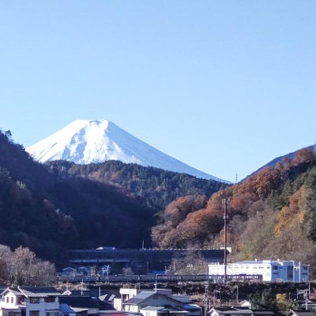 勝沼に日帰りドライブ。ワインの新酒なめて、バーベキューして、買い出し。