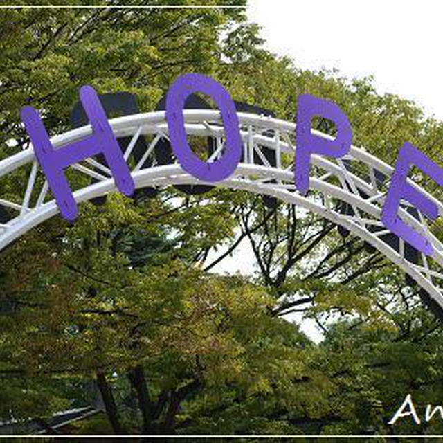 ☆リレー・フォー・ライフ（RFL）上野☆