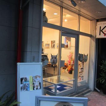 ぶさかわ猫展