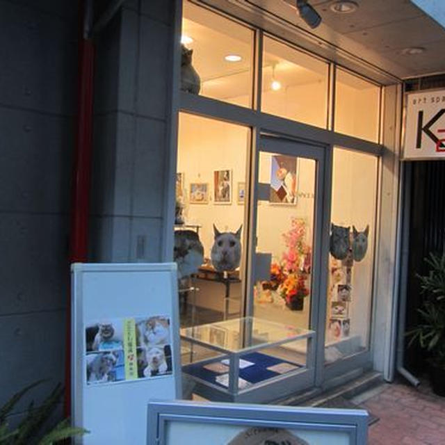 ぶさかわ猫展