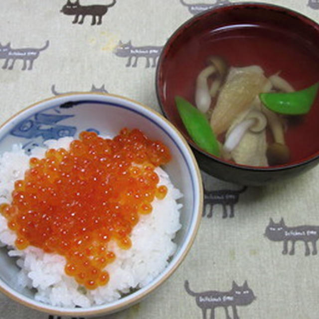 ミニイクラ丼で朝ごはん