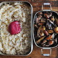 おいしい玄米ご飯に合うこだわりの弁当箱  と ごはんが進むおかず　根菜と落花生のうま煮