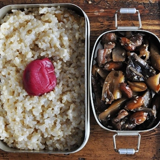 おいしい玄米ご飯に合うこだわりの弁当箱  と ごはんが進むおかず　根菜と落花生のうま煮