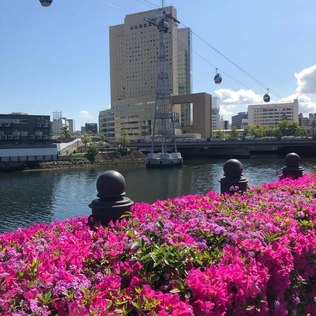 【プチプラ美容】くすみや乾燥ケアに❤️優秀スキンケア