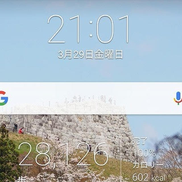 今日の歩数は...