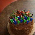 Birthday　cake　2012　for　２号。 by ささきのりこ。さん