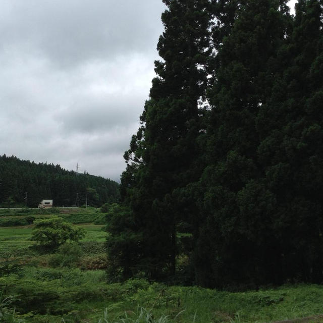 すたこら訪問記・山形県真室川町の巻