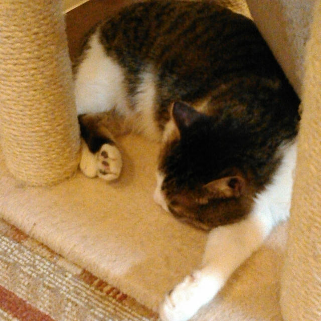 うーん、明日大丈夫かな？