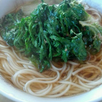 春菊のしょうゆラーメン