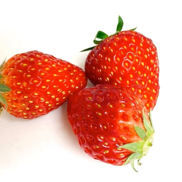 本当に凄かった！！いちごを新鮮に保つ<保存法>