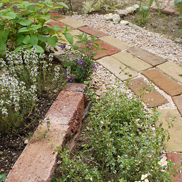 My Herb Garden