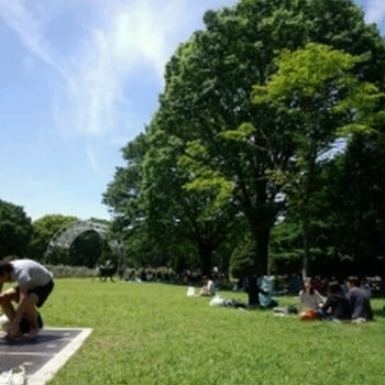 子連れピクニック♪代々木公園ＶＳ新宿御苑