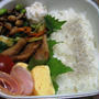 焼き肉弁当、じゃこチャーハン弁当