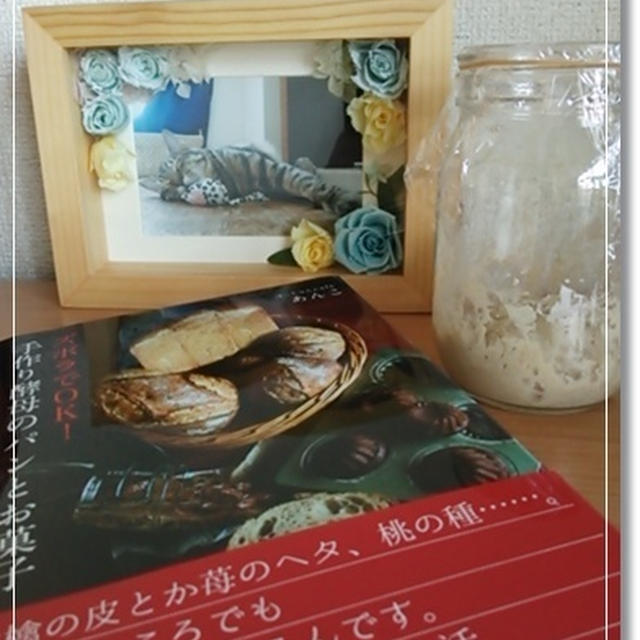 ズボラでOK♪あんこさん的ライ麦ルヴァン種