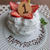 １歳の誕生日でした　※長いです