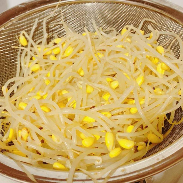 もやしの話