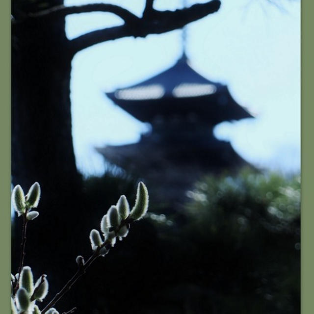3月の三渓園