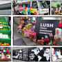 LUSHのまさにKITCHENな製造工場見学ツアー☆美味しそう～♪