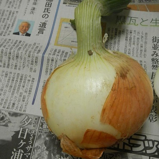 すごいな～　家庭菜園のおすそ分け