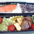 今日のお弁当。はちみつ卵焼きとかキャベツとベーコン炒めとか、海苔二段ご飯に銀鮭とシソふりかけ。