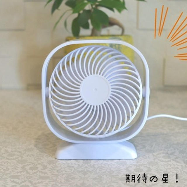 【DAISOやるね。その1】過保護