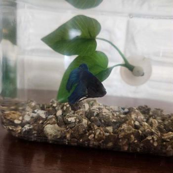 はじめましてオレ！この春、家族が増えてました♪