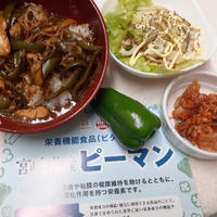 ピーマンと鶏の味噌炒めどんぶり　宮崎県産ピーマン（レシピブログ）