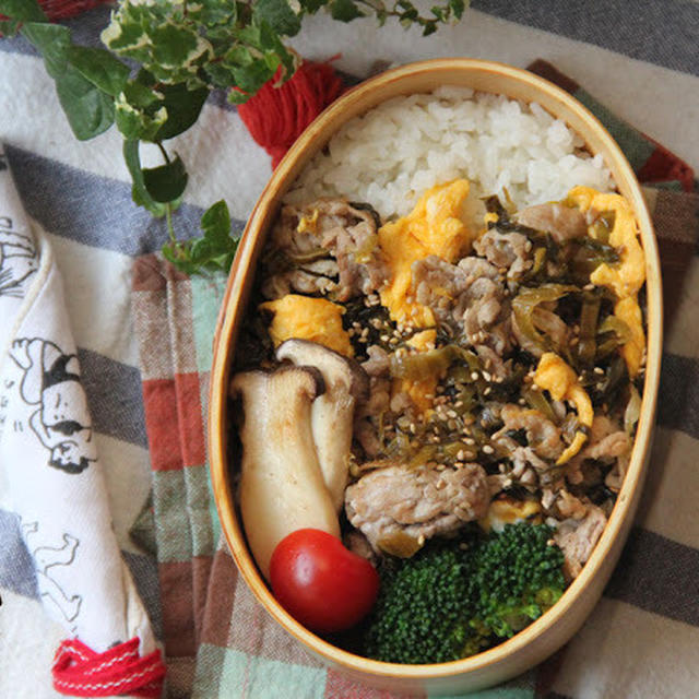 豚肉と卵の高菜炒め乗っけ弁