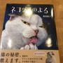 きつねうどんと『ネコヅメのよる』