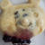 くまさんのプチケーキでお茶を