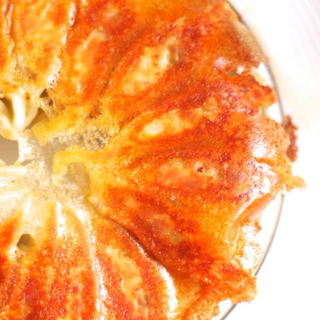 春キャベツ餃子が美味しすぎるので、週3回作った！