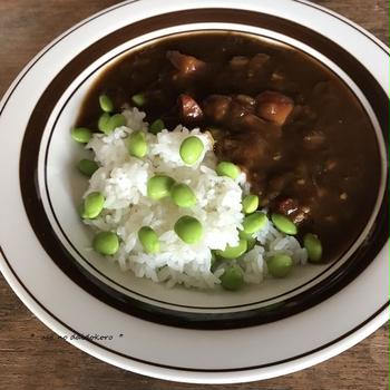 豚バラ軟骨牛蒡カレーの朝ごはん