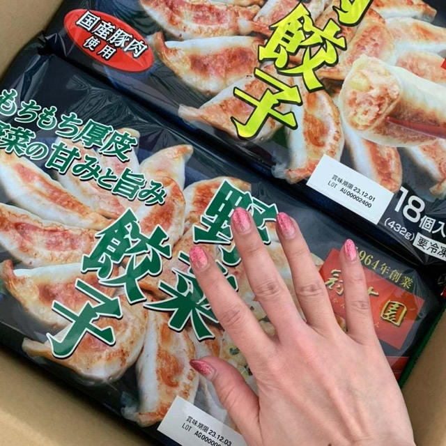 買って大正解！最強すぎるふるさと納税の餃子
