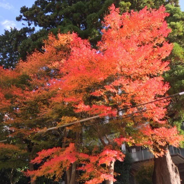 1日 感謝の日