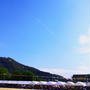 ２０１３苺の運動会。