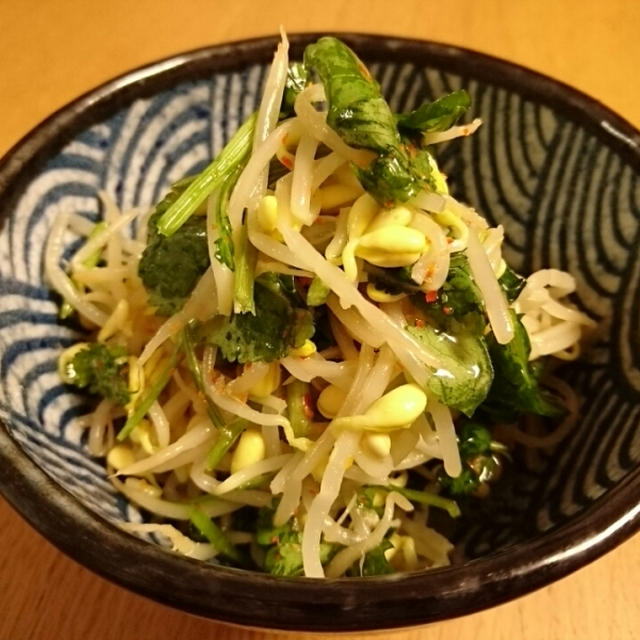 パクチーと豆もやしのピリ辛和え