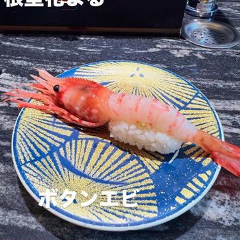 回転寿司の根室花まる