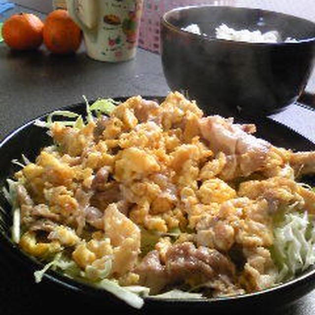 時間がないときは「ブタ玉キャベツ」。豚肉の心理学。