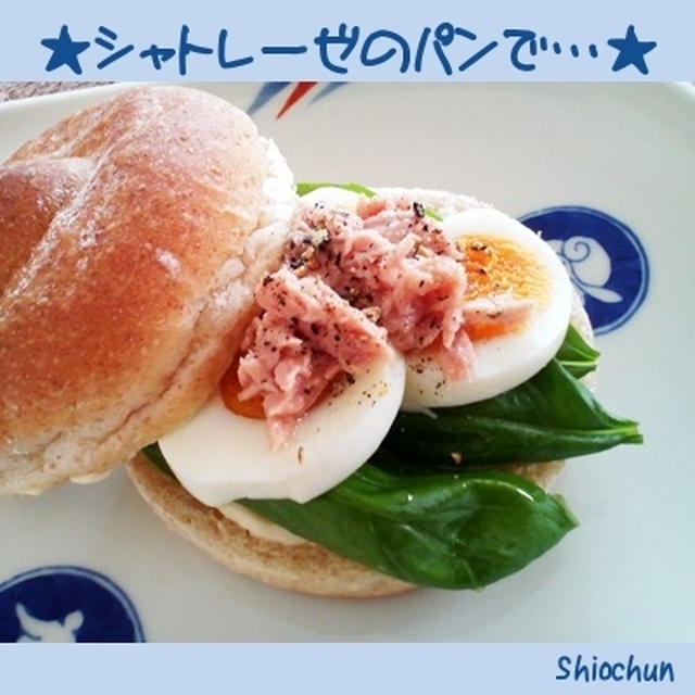 シャトレーゼのパンでおいしいお弁当★